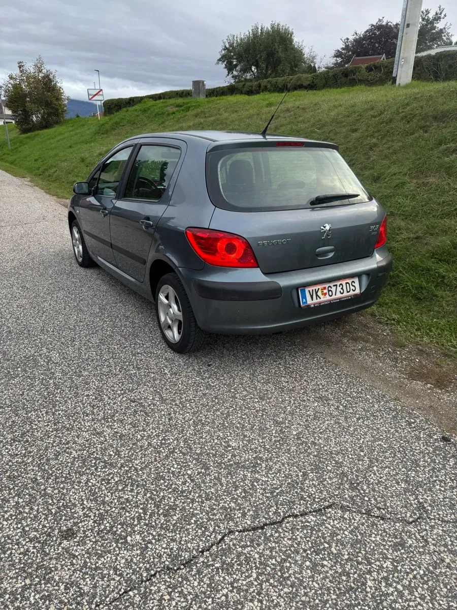 Peugeot 307 2006 photo 2