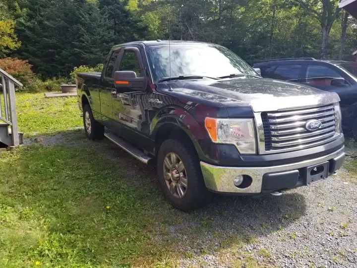 Ford F-150 2010 photo 2