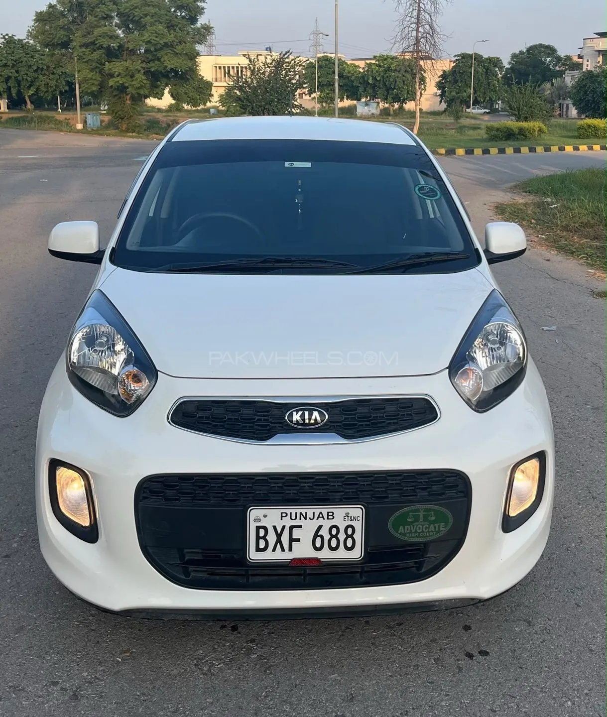 Kia Picanto