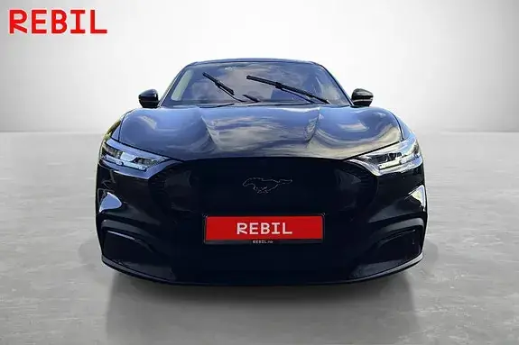 Ford Mustang Mach-E 2021 photo 2