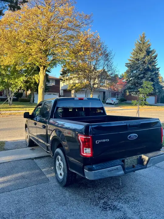 Ford F-150 2015 photo 4