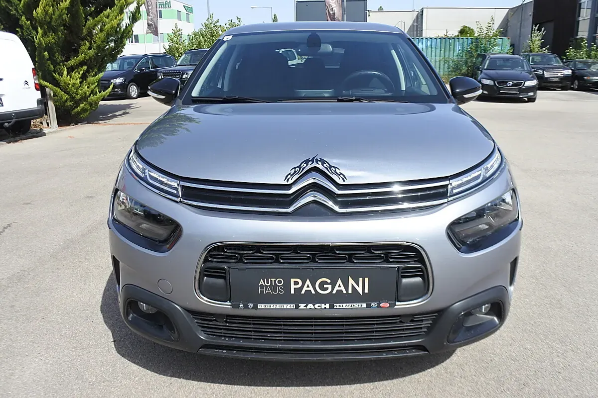 Citroen C4 Cactus 2019 photo 3