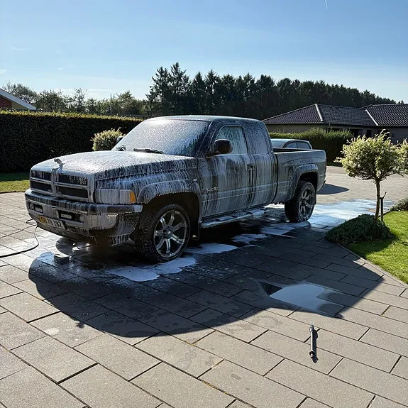Dodge Ram 1500 1999 photo 2