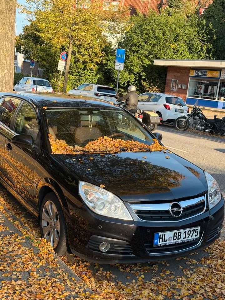 Opel Signum