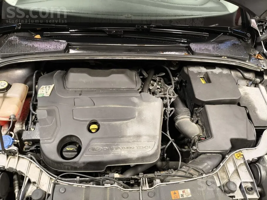 Ford Focus 2016 photo 5