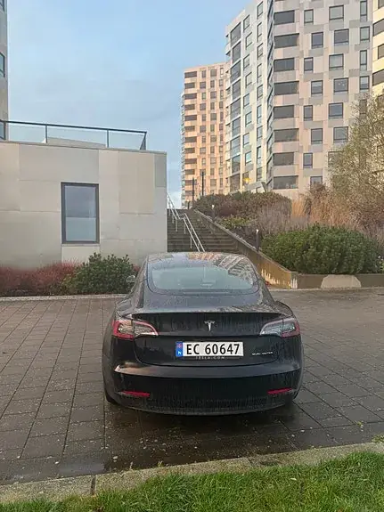 Tesla Model 3 2021 photo 4