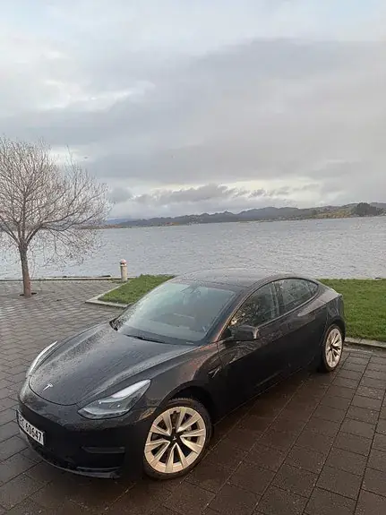 Tesla Model 3 2021 photo 3