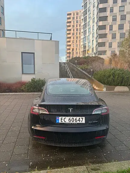 Tesla Model 3 2021 photo 5