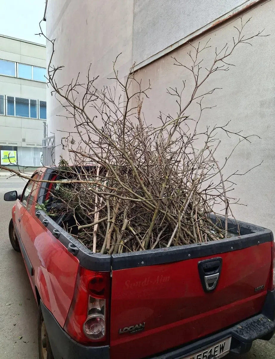Dacia Logan 2010 photo 2
