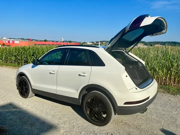 Audi Q3 2017 photo 3