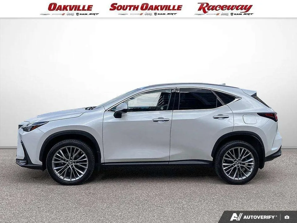 Lexus Nx 2022 photo 3