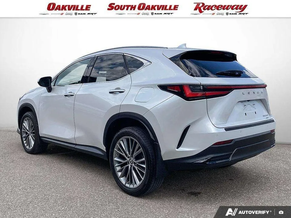 Lexus Nx 2022 photo 4