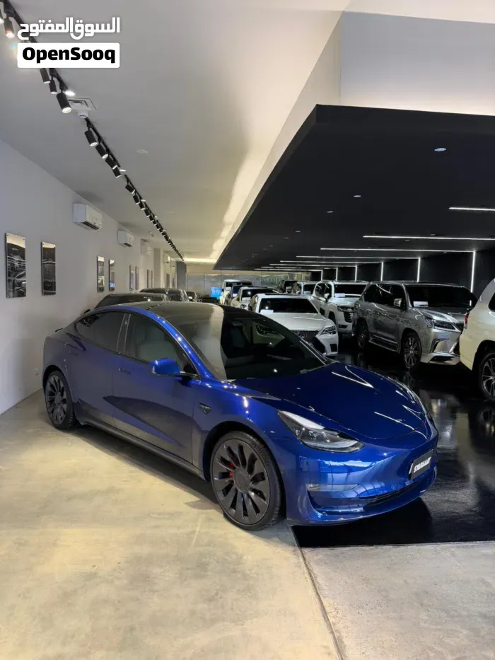 Tesla Model 3 2021 photo 3