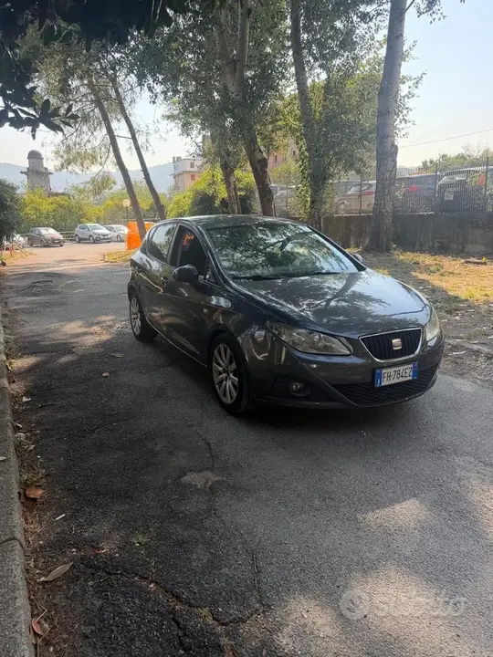 Seat Ibiza 2012 photo 2