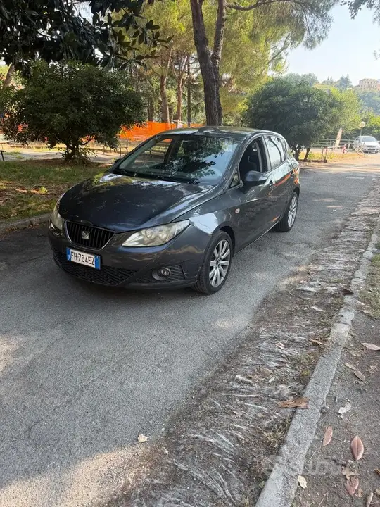 Seat Ibiza 2012 photo 3