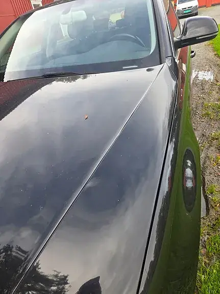 Audi A4 2008 photo 5