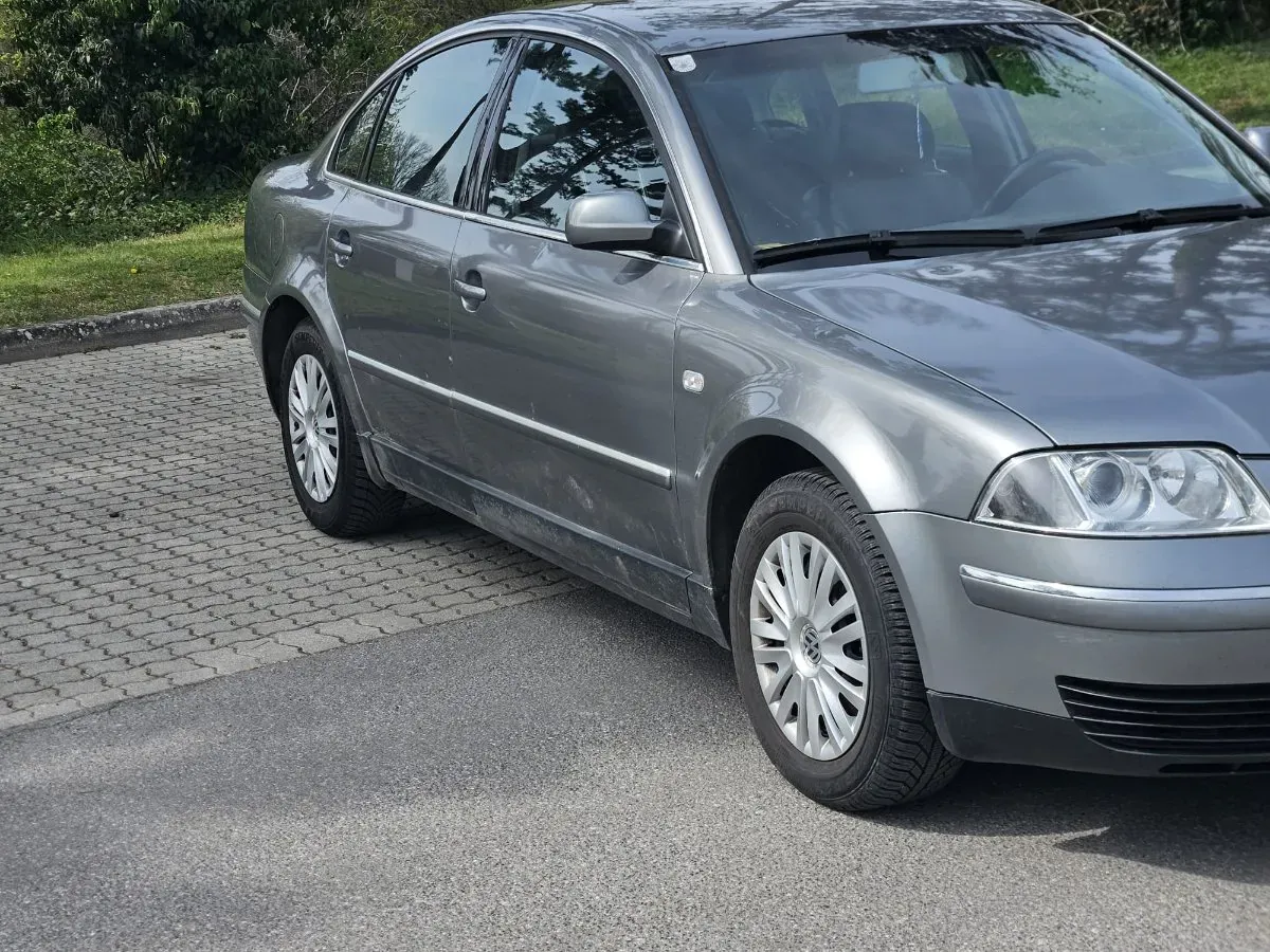Volkswagen Passat 2002 photo 3