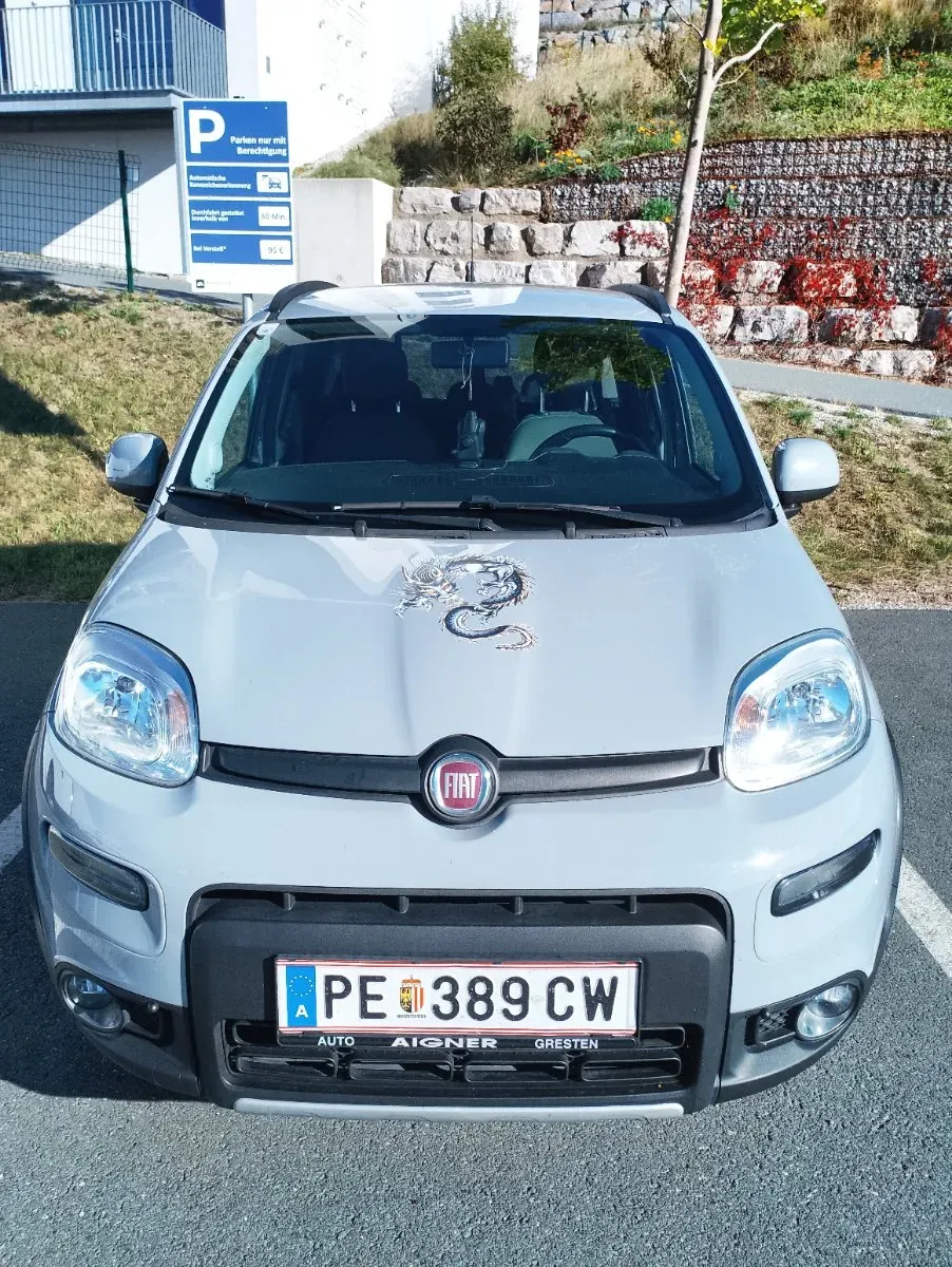 Fiat Panda 2019 photo 3