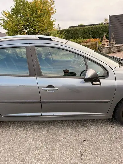 Peugeot 207 2009 photo 5