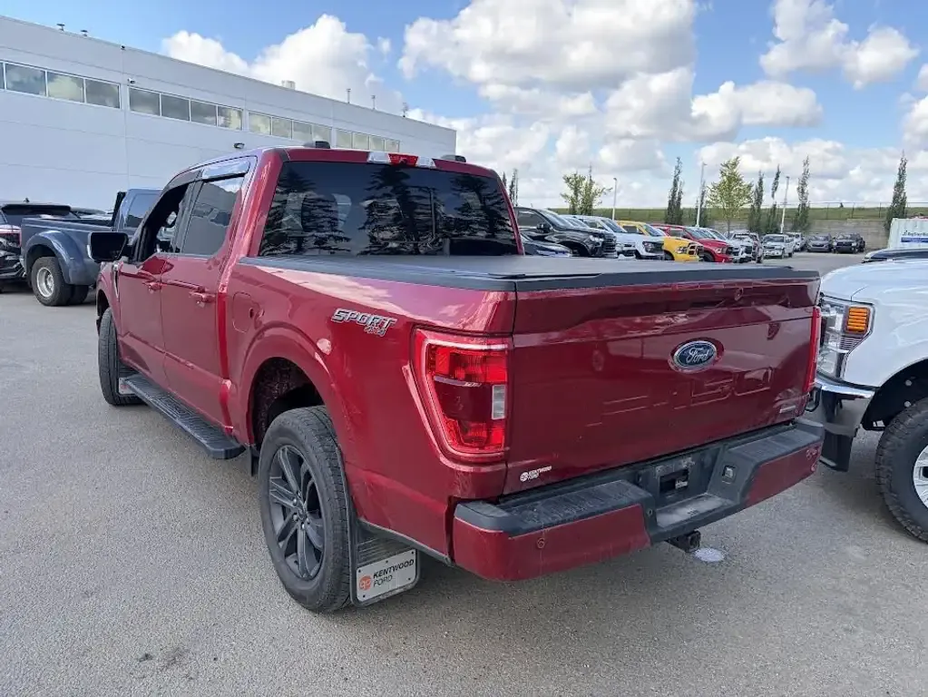Ford F-150 2021 photo 3
