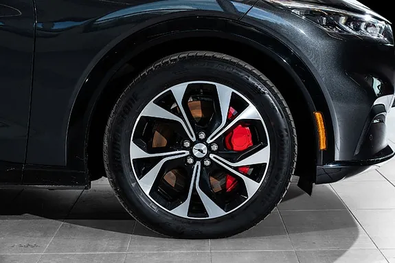 Ford Mustang Mach-E 2022 photo 5
