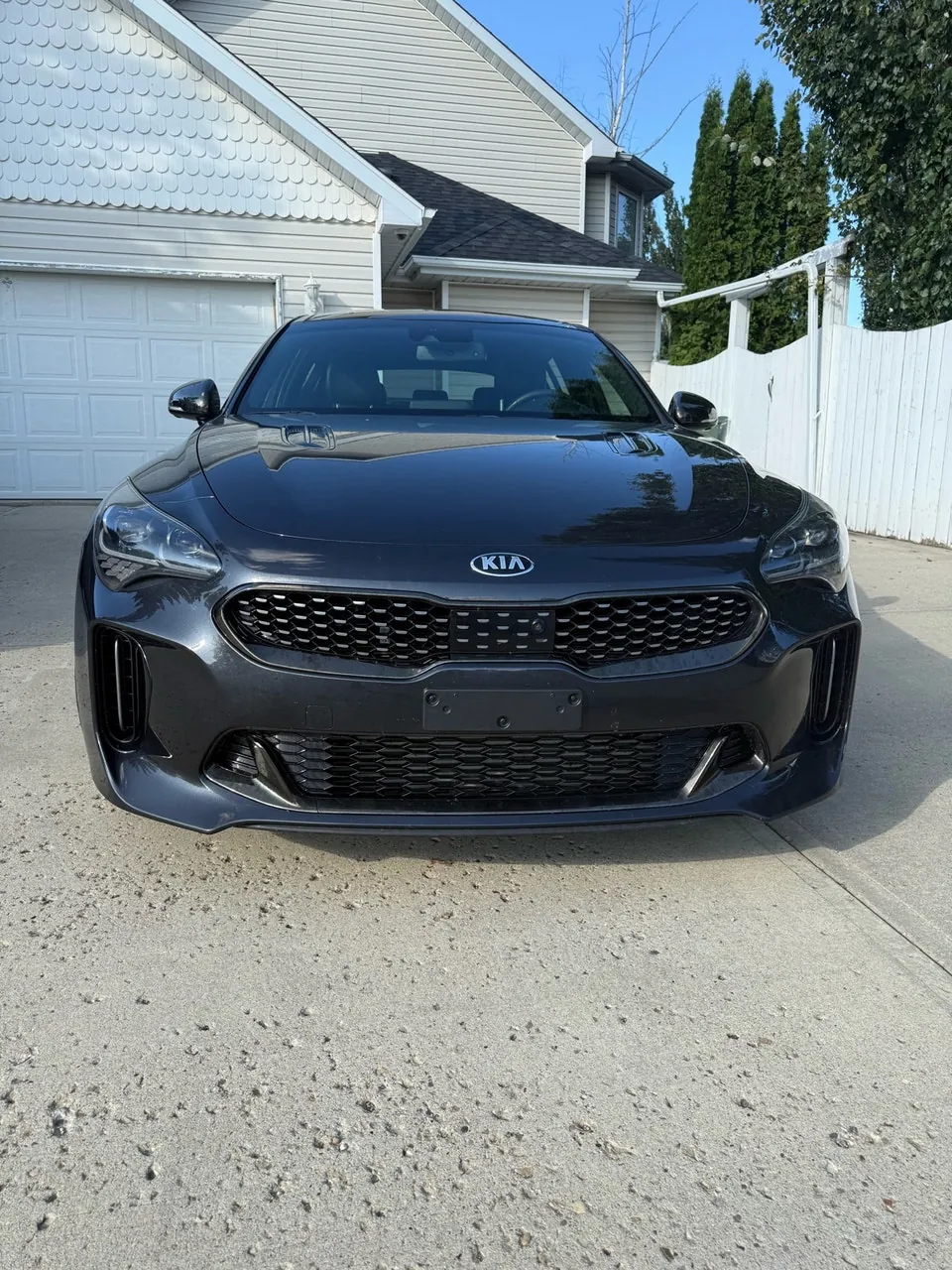 Kia Stinger 2018 photo 3