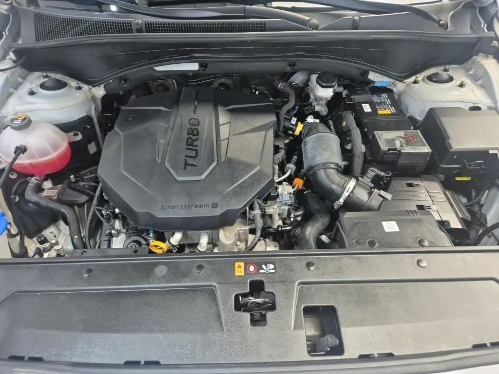 Hyundai Santa Fe 2021 photo 5