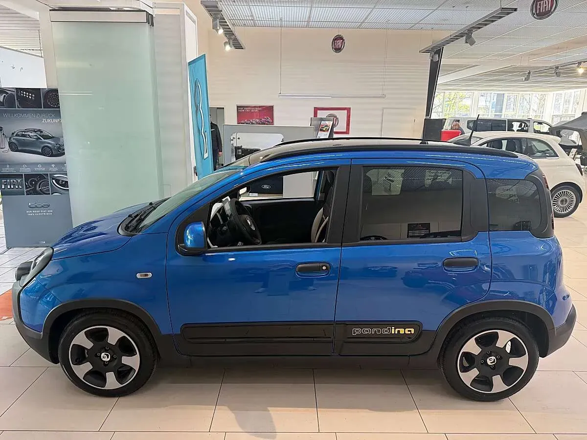Fiat Pandina photo 2