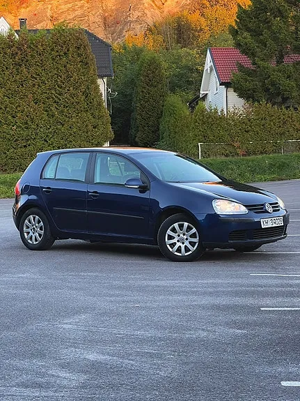 Volkswagen Golf V 2005 photo 3