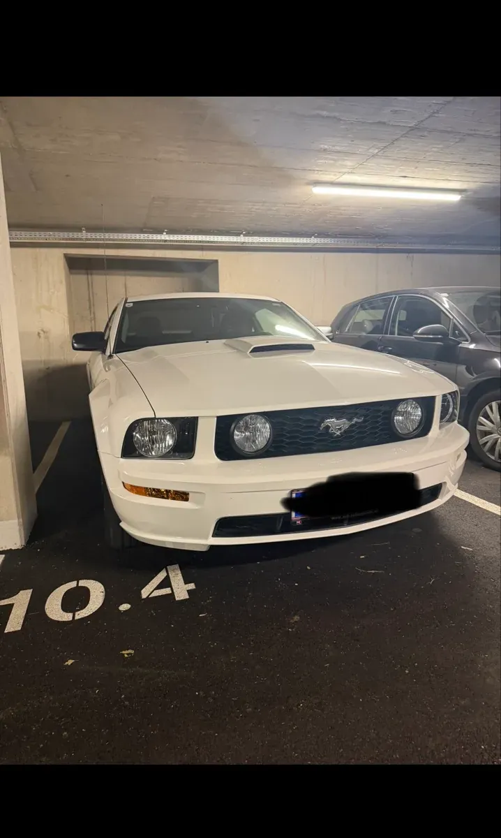 Ford Mustang 2008 photo 2