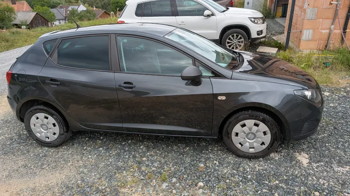 Seat Ibiza 2010 photo 3