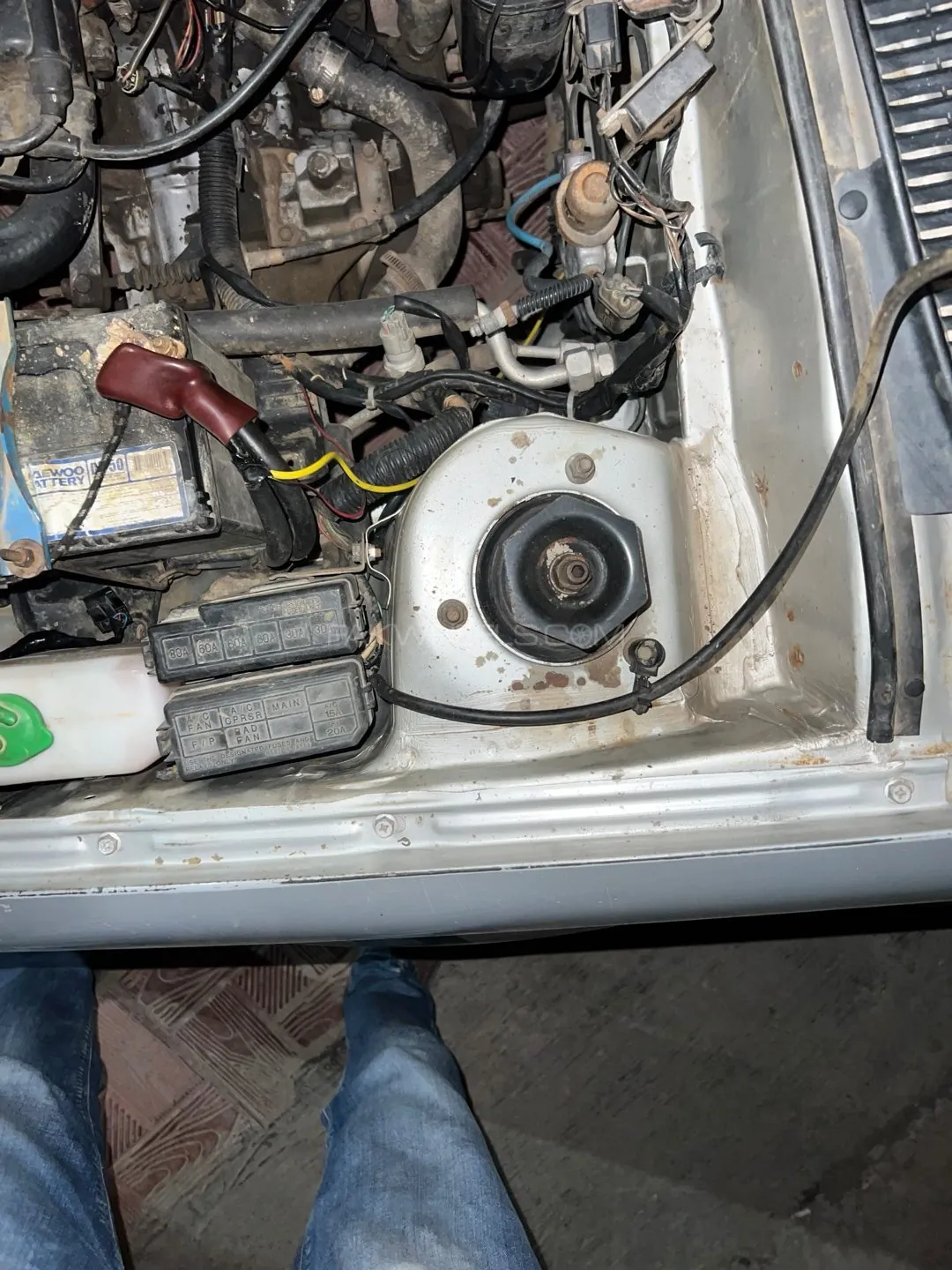 Suzuki Cultus