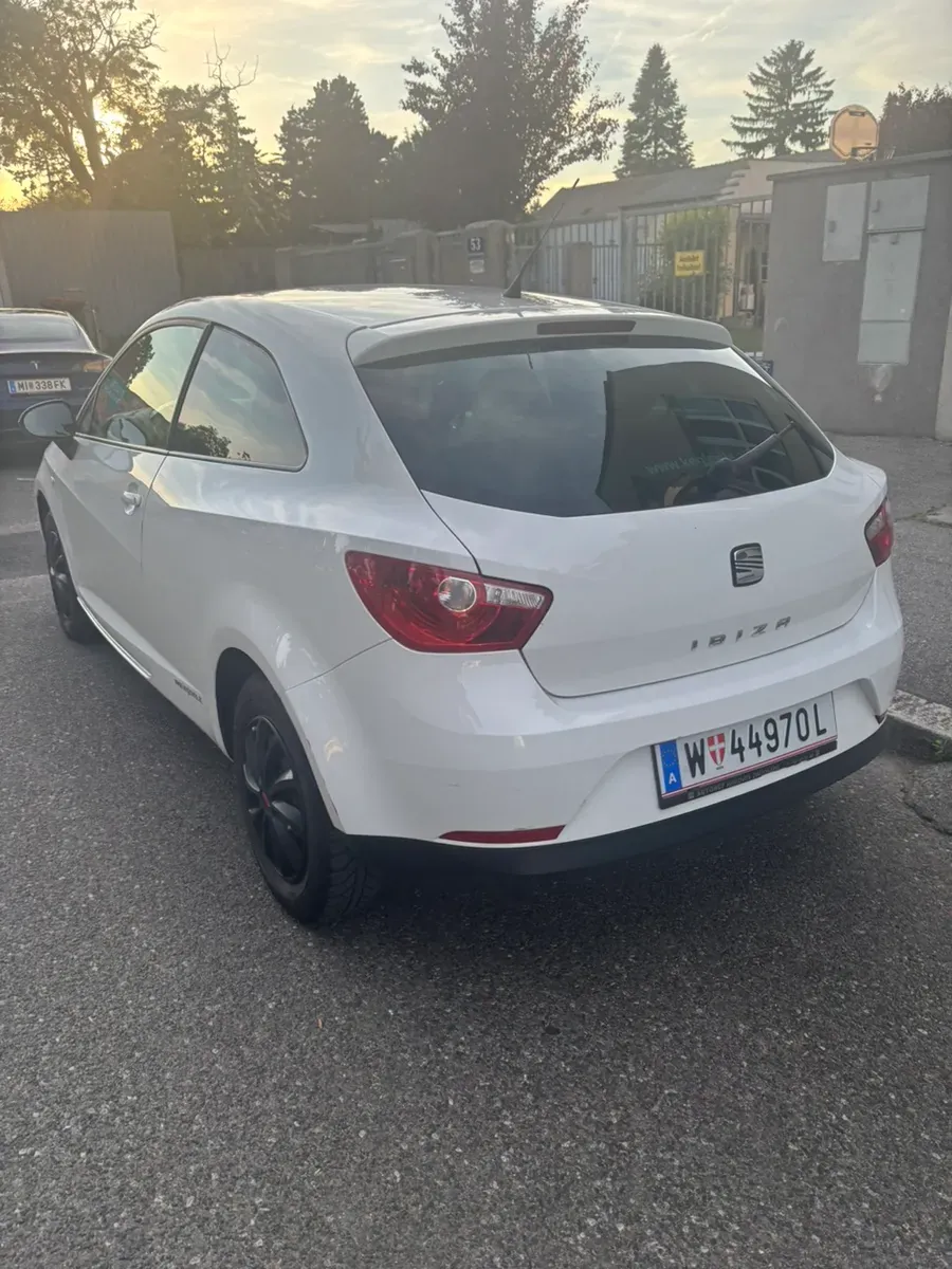 Seat Ibiza 2009 photo 2