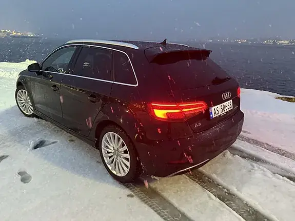 Audi E-Tron 2017 photo 3