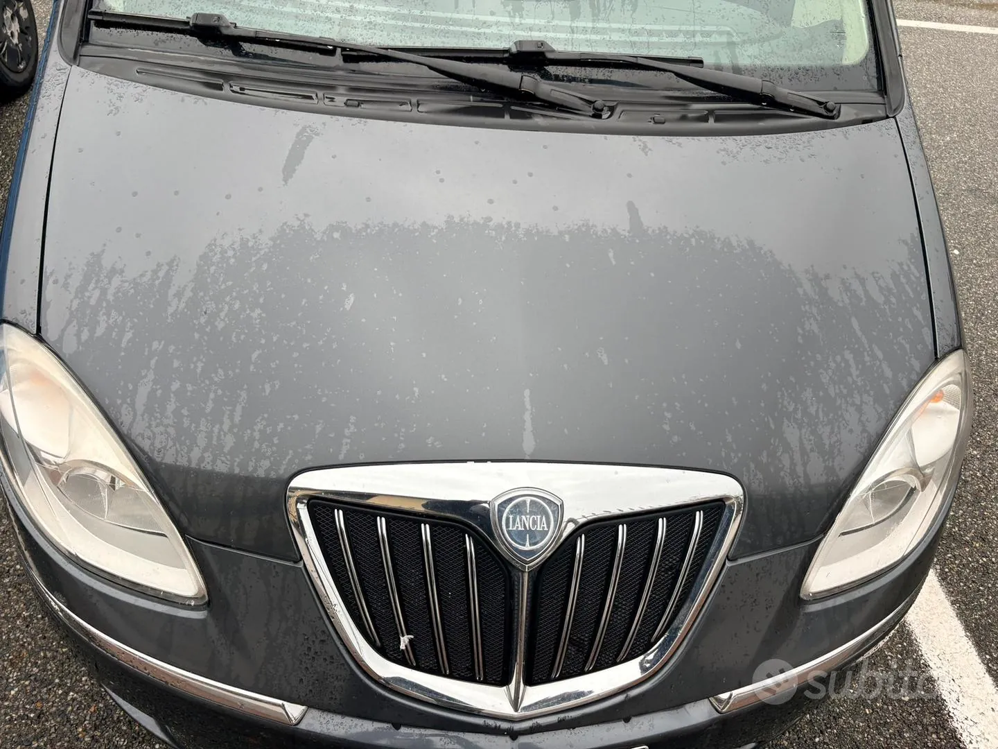 Lancia Musa