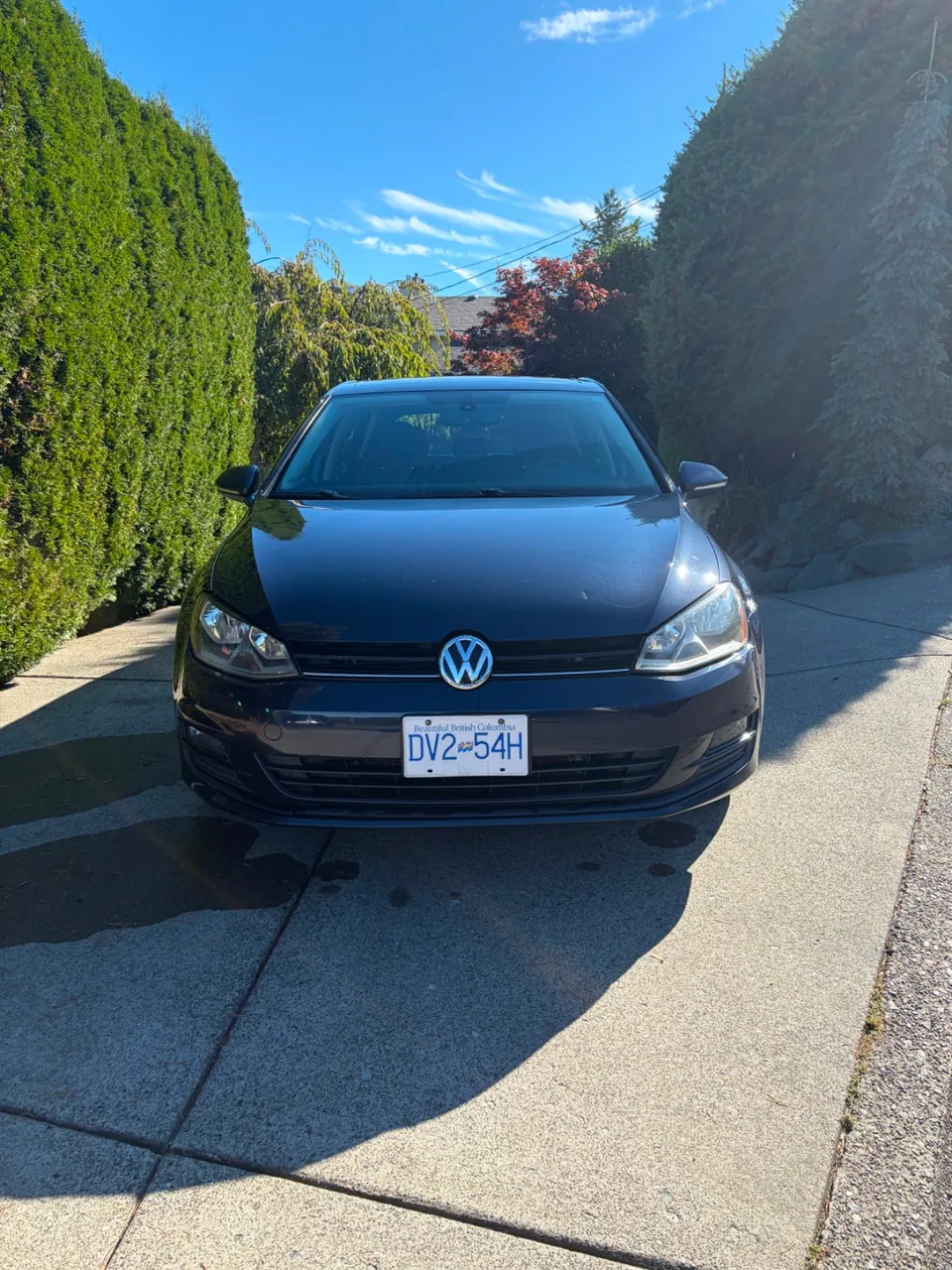 Volkswagen Golf 2015 photo 2