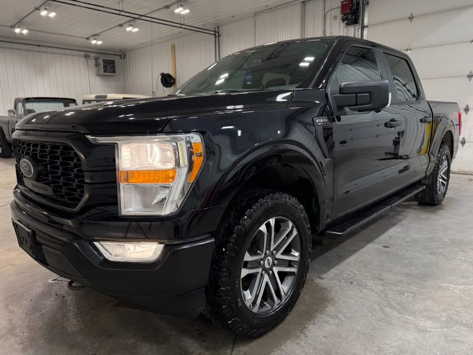 Ford F-150 2021 photo 3