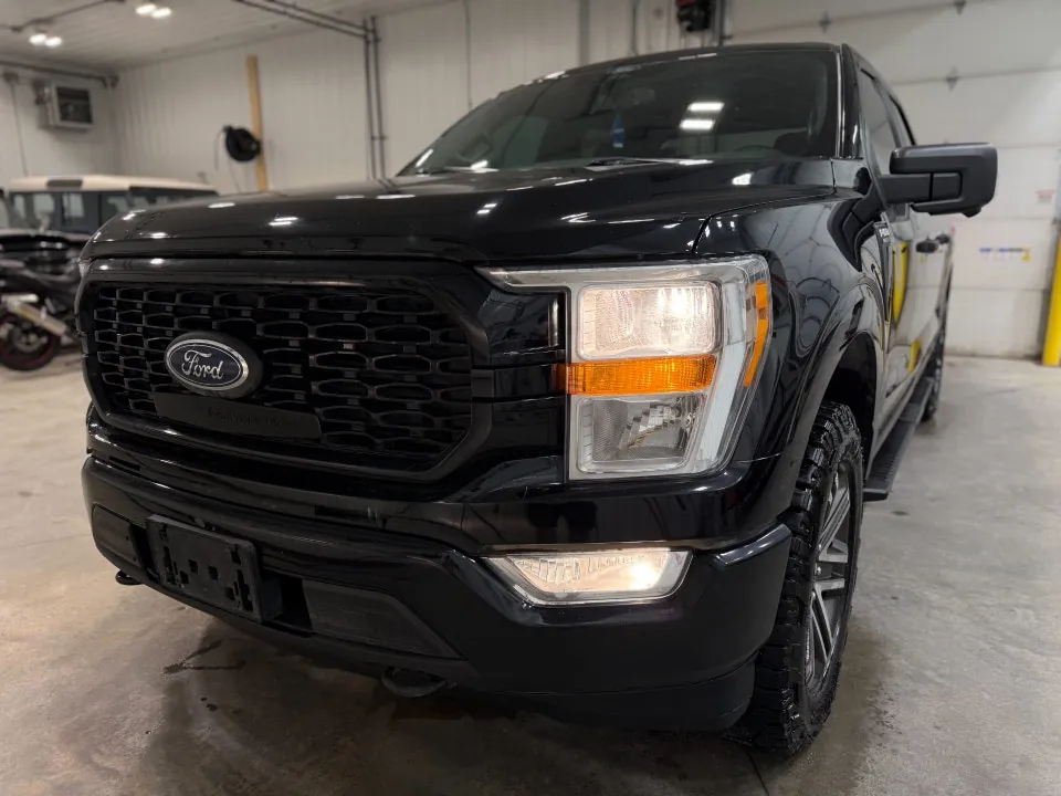 Ford F-150 2021 photo 4