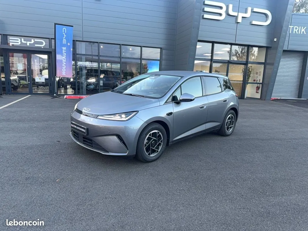 BYD Dolphin G