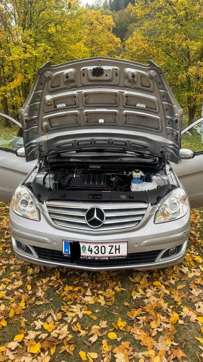 Mercedes-Benz B-Class 2006 photo 2