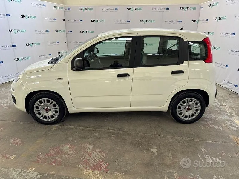 Fiat Panda 2021 photo 2