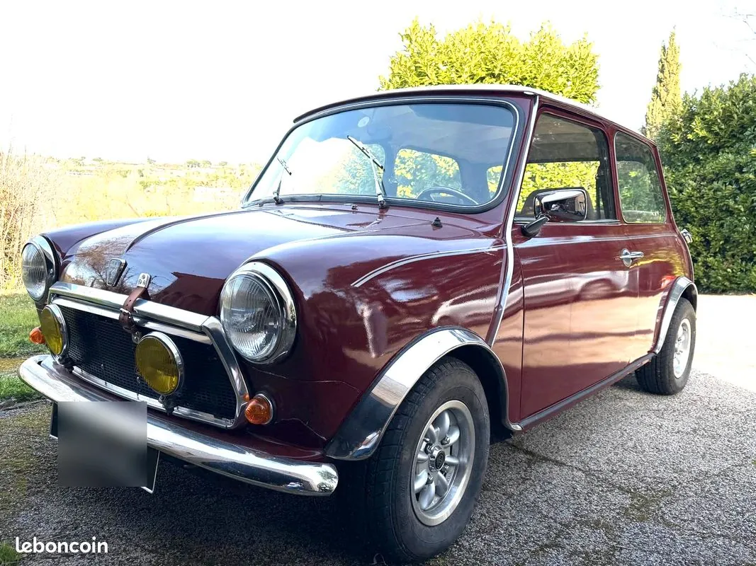 Mini Mini