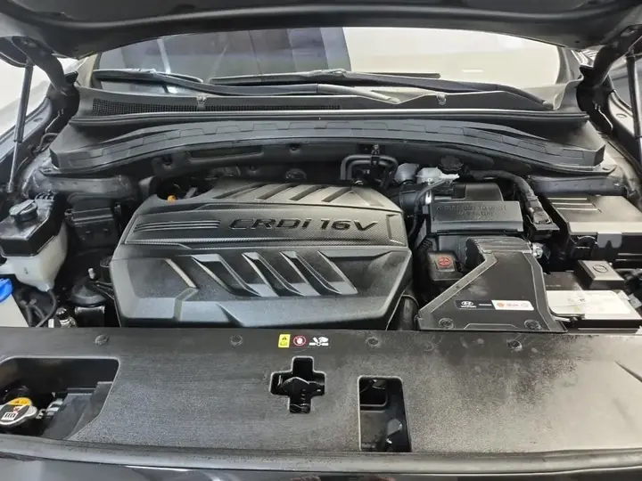 Hyundai Santa Fe 2019 photo 5