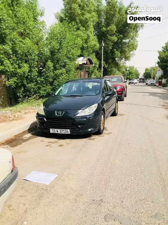 Peugeot 307 2006 photo 2