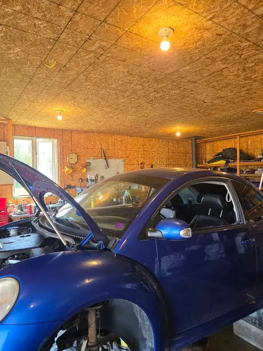 Volkswagen Beetle
