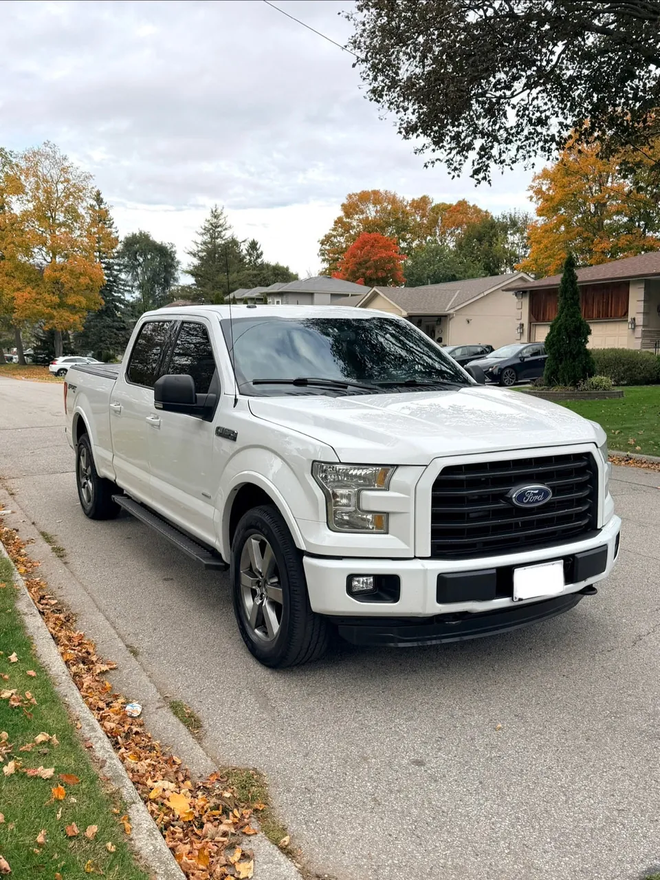 Ford F-150 2016 photo 2