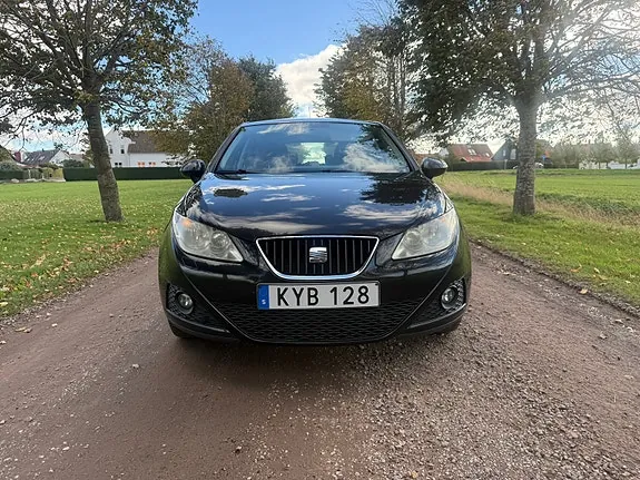 Seat Ibiza 2010 photo 2