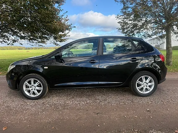 Seat Ibiza 2010 photo 4