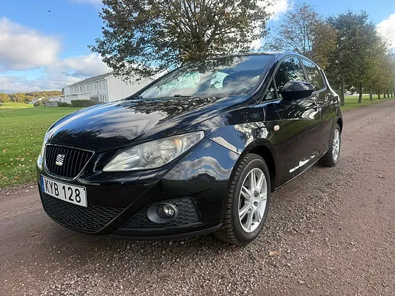 Seat Ibiza 2010 photo 3