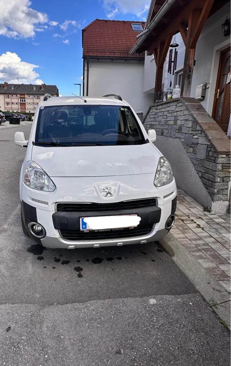 Peugeot Sonstige